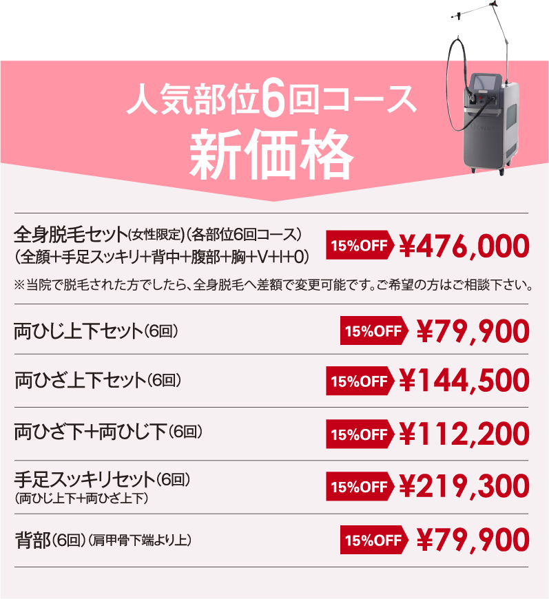 人気部位6回コース 新価格