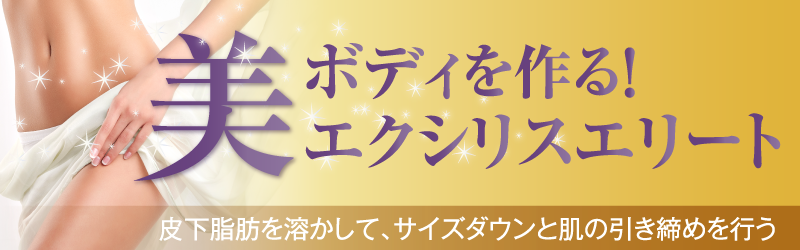 エクシリスエリート
