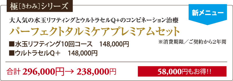 極みシリーズ パーフェクトタルミケアプレミアムセット